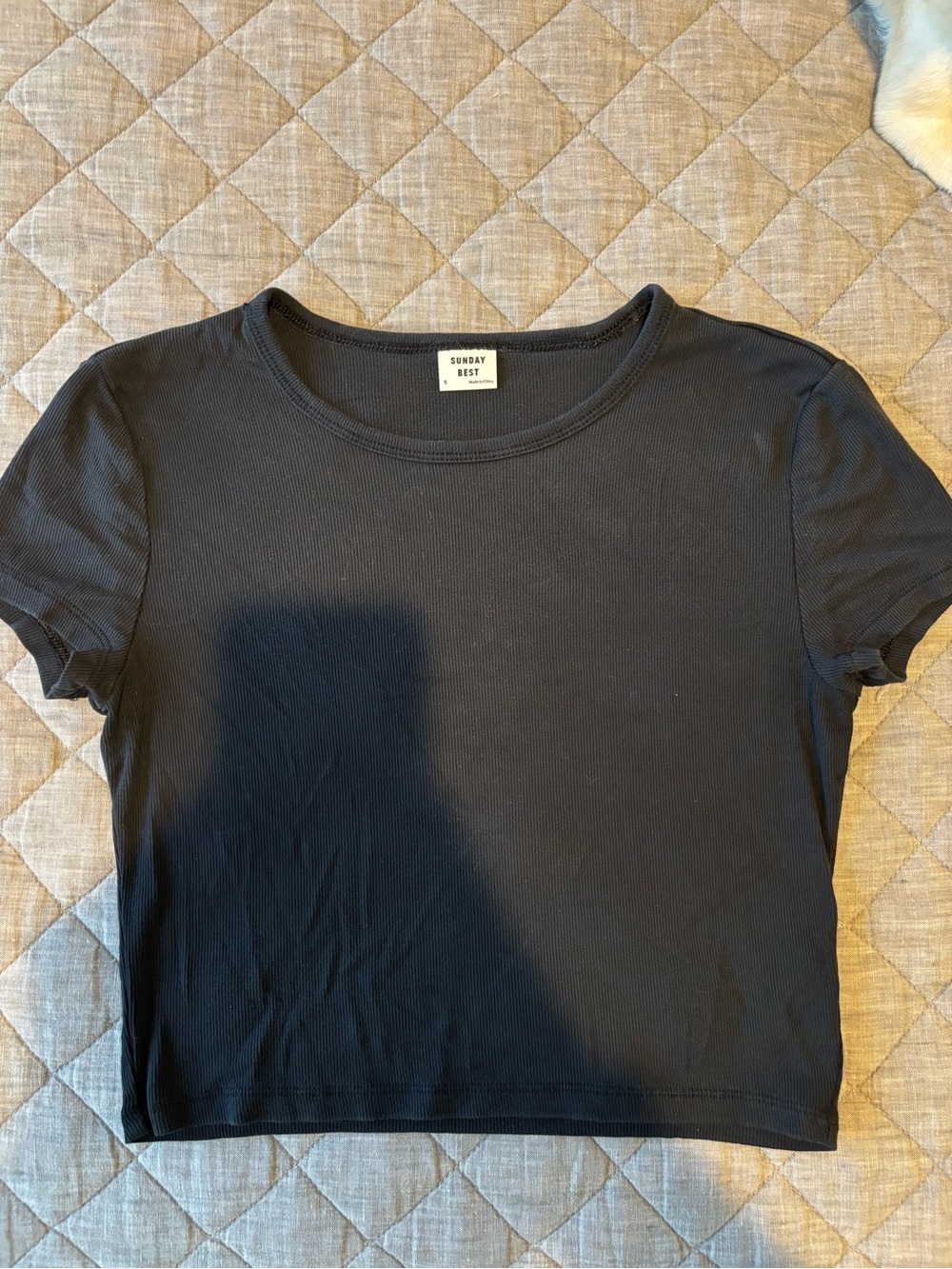 Sunday Best Black Ribbed Short Sleeve Crop Top